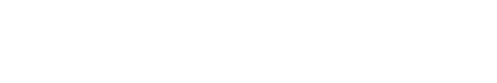 DER SPIEGEL
